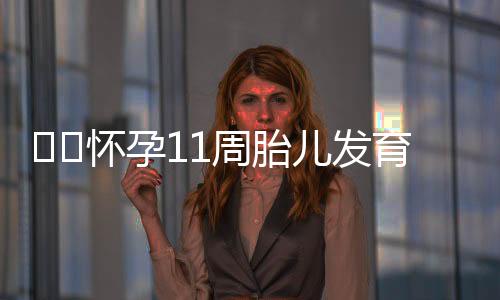 怀孕11周胎儿发育情况都有什么
