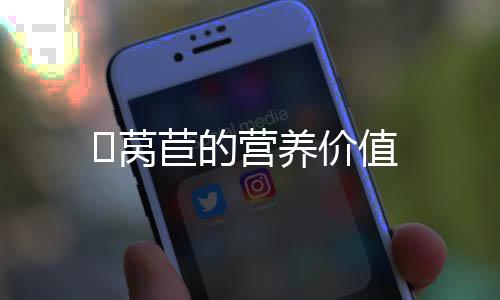 莴苣的营养价值