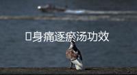​身痛逐瘀汤功效