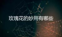 玫瑰花的妙用有哪些