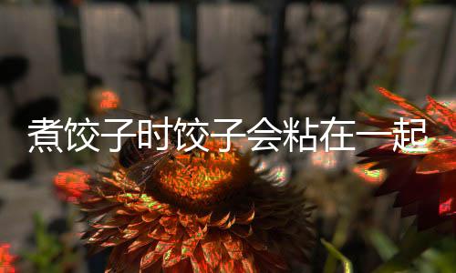 煮饺子时饺子会粘在一起怎么办?水里加点盐