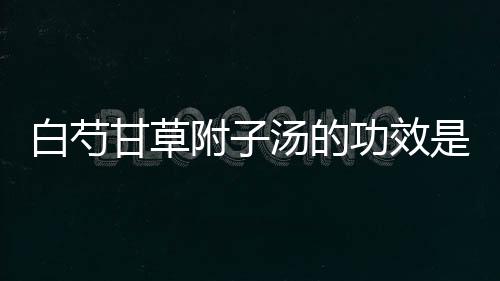 白芍甘草附子汤的功效是什么