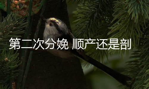 第二次分娩 顺产还是剖腹产 ?
