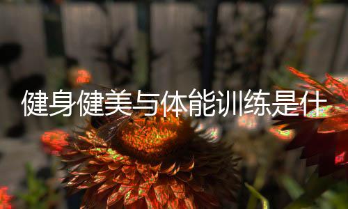 健身健美与体能训练是什么?