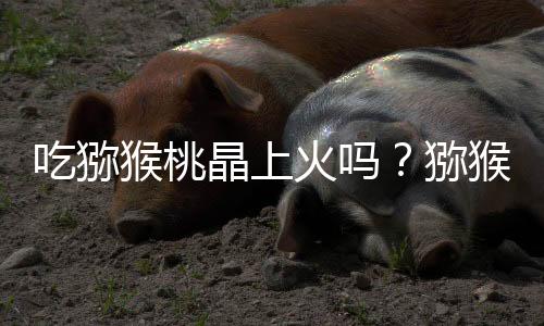吃猕猴桃晶上火吗?猕猴桃晶的营养价值有哪些