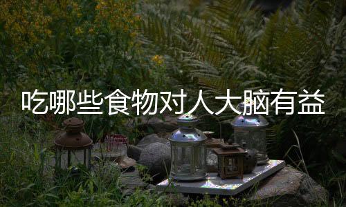 吃哪些食物对人大脑有益？