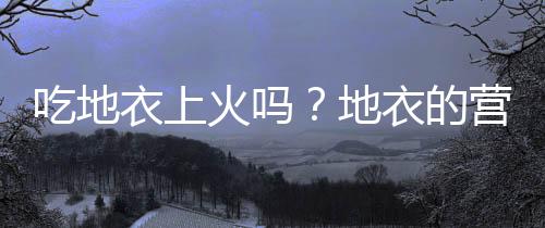 吃地衣上火吗?地衣的营养价值有哪些