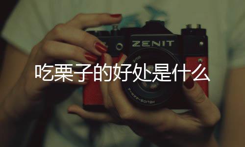 吃栗子的好处是什么