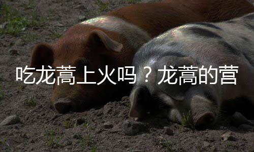 吃龙蒿上火吗?龙蒿的营养价值有哪些