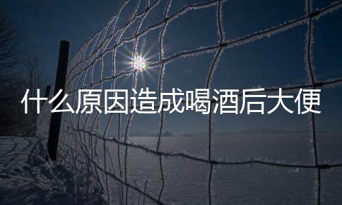什么原因造成喝酒后大便失禁呢?