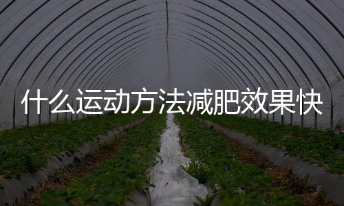 什么运动方法减肥效果快一点?