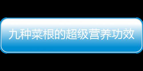 九种菜根的超级营养功效