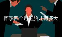 怀孕四个月的胎儿有多大