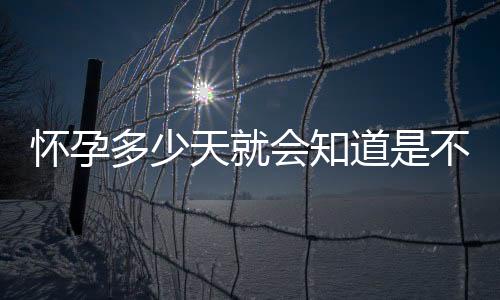 怀孕多少天就会知道是不是宫外孕呢?