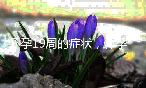 怀孕19周的症状,怀孕19周的反应及注意事项