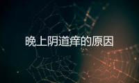 晚上阴道痒的原因
