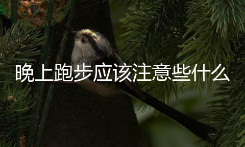 晚上跑步应该注意些什么呢?