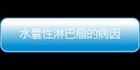 水囊性淋巴瘤的病因