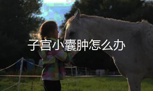 子宫小囊肿怎么办