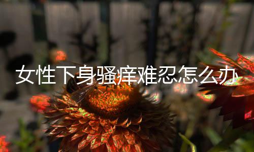 女性下身骚痒难忍怎么办