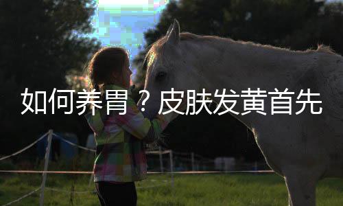 如何养胃?皮肤发黄首先要养胃