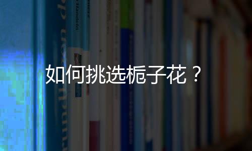 如何挑选栀子花?
