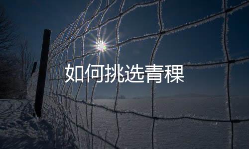如何挑选青稞