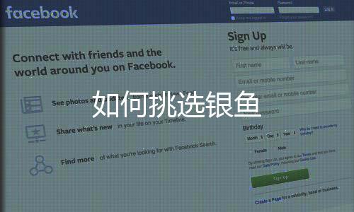 如何挑选银鱼