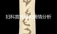 妇科宫颈息肉病情分析
