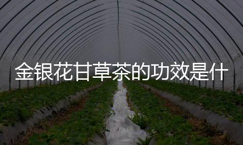 金银花甘草茶的功效是什么?