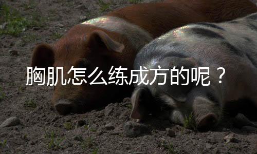 胸肌怎么练成方的呢?