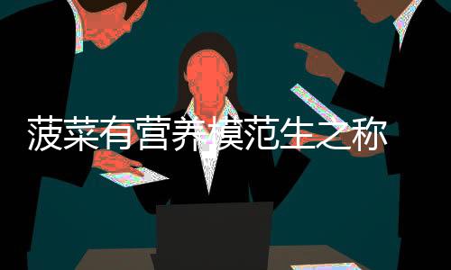菠菜有营养模范生之称 菠菜的家常做法