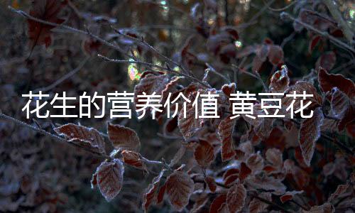 花生的营养价值 黄豆花生红枣羹能治贫血吗?
