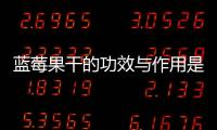 蓝莓果干的功效与作用是什么