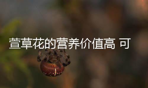 萱草花的营养价值高 可降胆固醇！