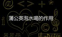 蒲公英泡水喝的作用