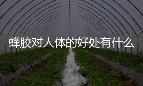 蜂胶对人体的好处有什么
