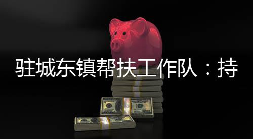 驻城东镇帮扶工作队:持续做好消费帮扶 助力乡村全面振兴