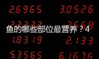 鱼的哪些部位最营养？4种人不宜吃鱼