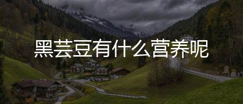 黑芸豆有什么营养呢